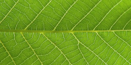 Transitievisie Warmte Renkum: de route richting aardgasvrij.