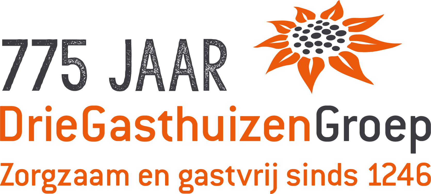 Logo Full Colour Volledig