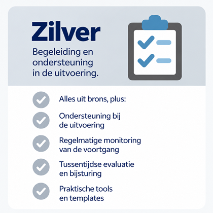 Zilveren Begeleiding En Ondersteuning