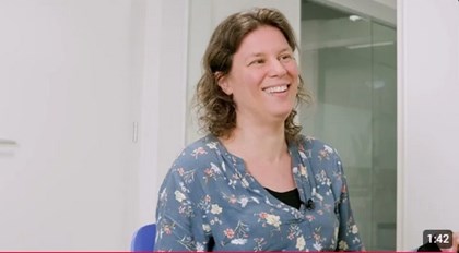 Video Geeske